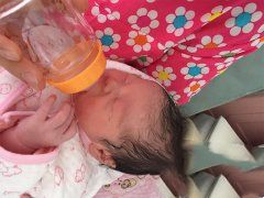 �����ѳ���Ͳ��� �Թ�Ӥ��������